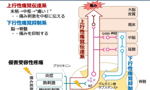 打催产素对胎儿和孕妇有什么影响吗-权威打催产素对小孩不好吗平台,分享专业打催产素有什么副作用知识_打催产素对小孩不好网